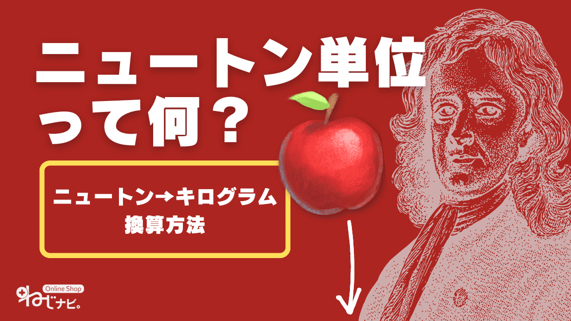 ニュートン キログラム換算式 ネジ ナット ボルト ビスの通販 販売 ねじの事ならねじナビ