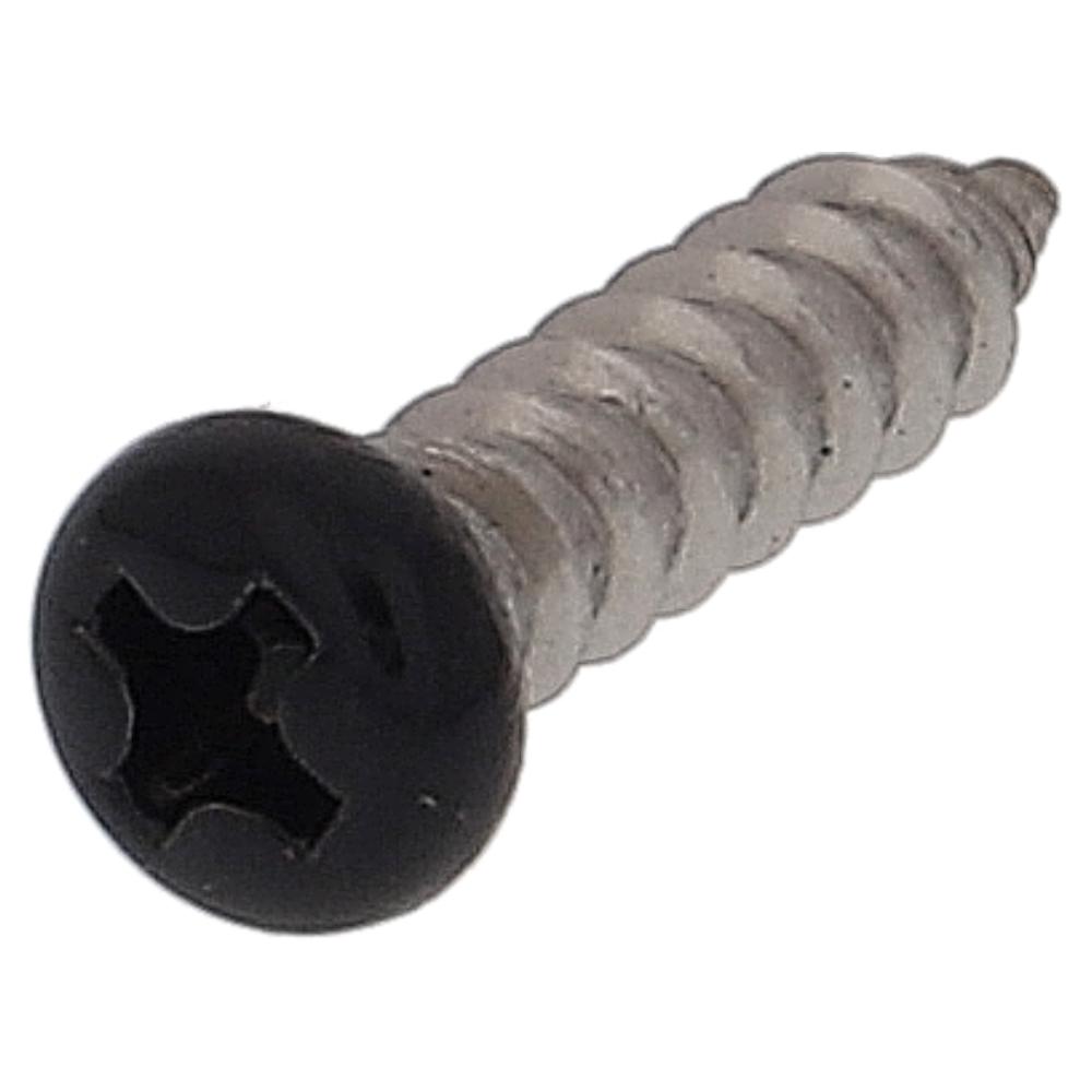 ステンレス/頭部塗装 タッピング 鍋頭 黒 4X16