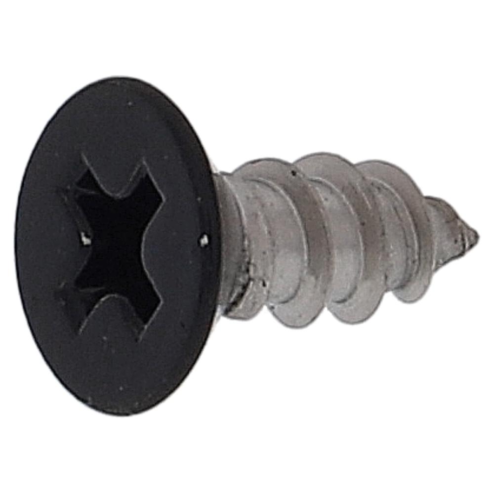 ステンレス/頭部塗装 タッピング 皿頭 黒 4X10