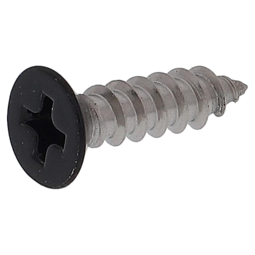 ステンレス/頭部塗装 タッピング 皿頭 黒 4X16