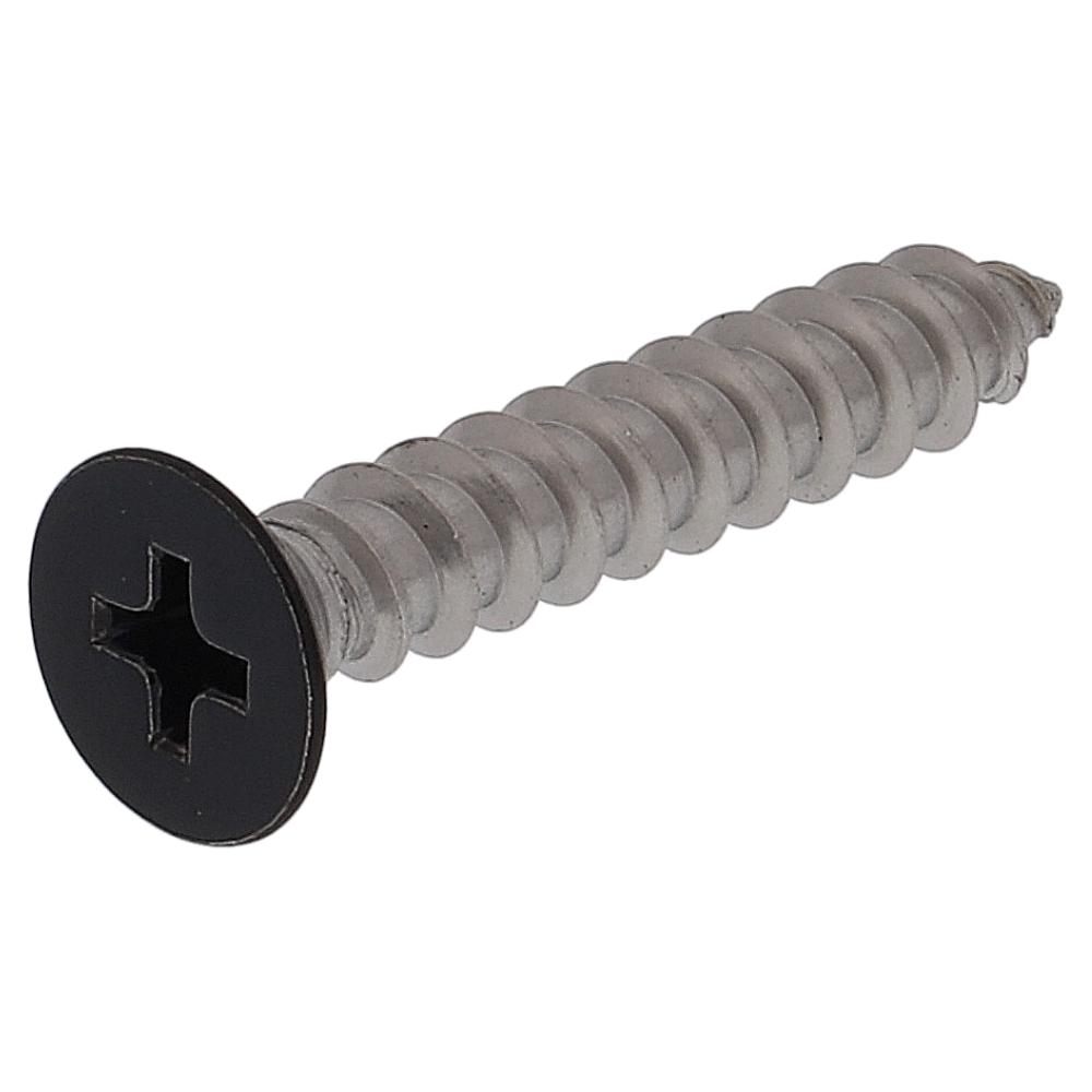 ステンレス/頭部塗装 タッピング 皿頭 黒 5X30